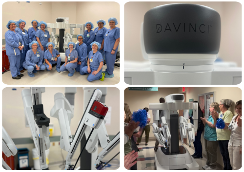 da Vinci XI da Vinci XI